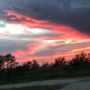 Meet your Posher, Tia